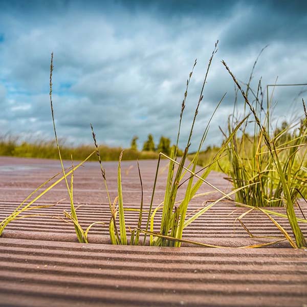Weitere Moorlandschaften