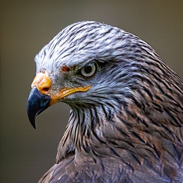 Vogelpark Walsrode
