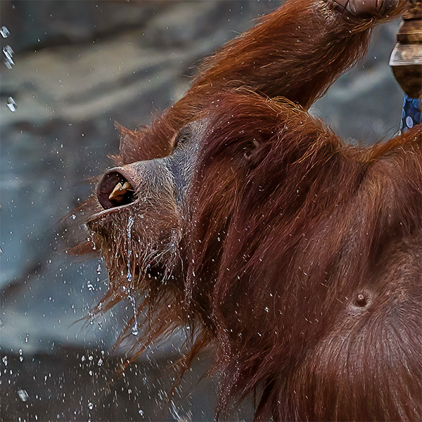 Tierpark Ströhen