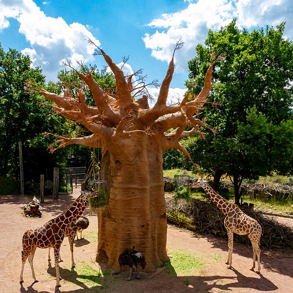 Zoo Osnabrück
