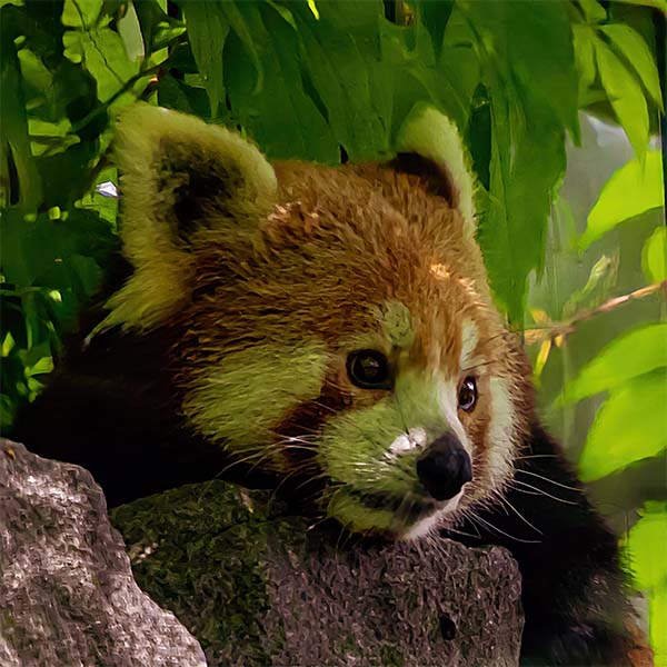 Tierpark Berlin